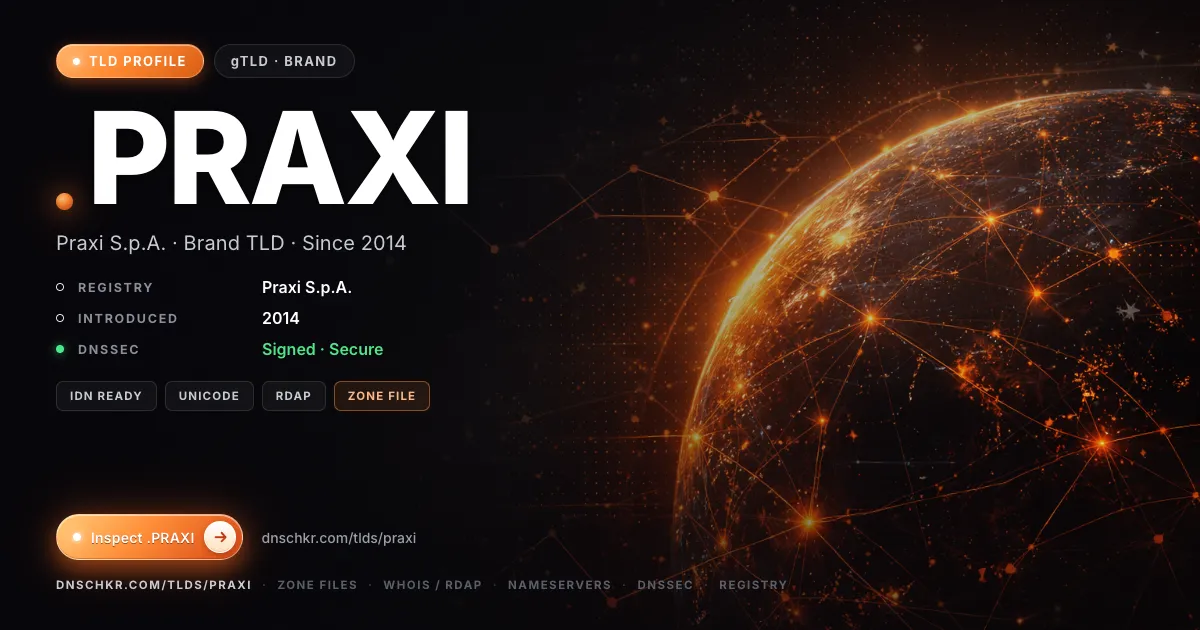 .praxi TLD — domains, registry, and DNSSEC overview