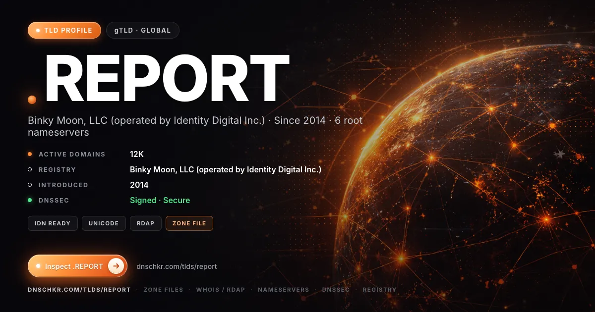 .report TLD — domains, registry, and DNSSEC overview