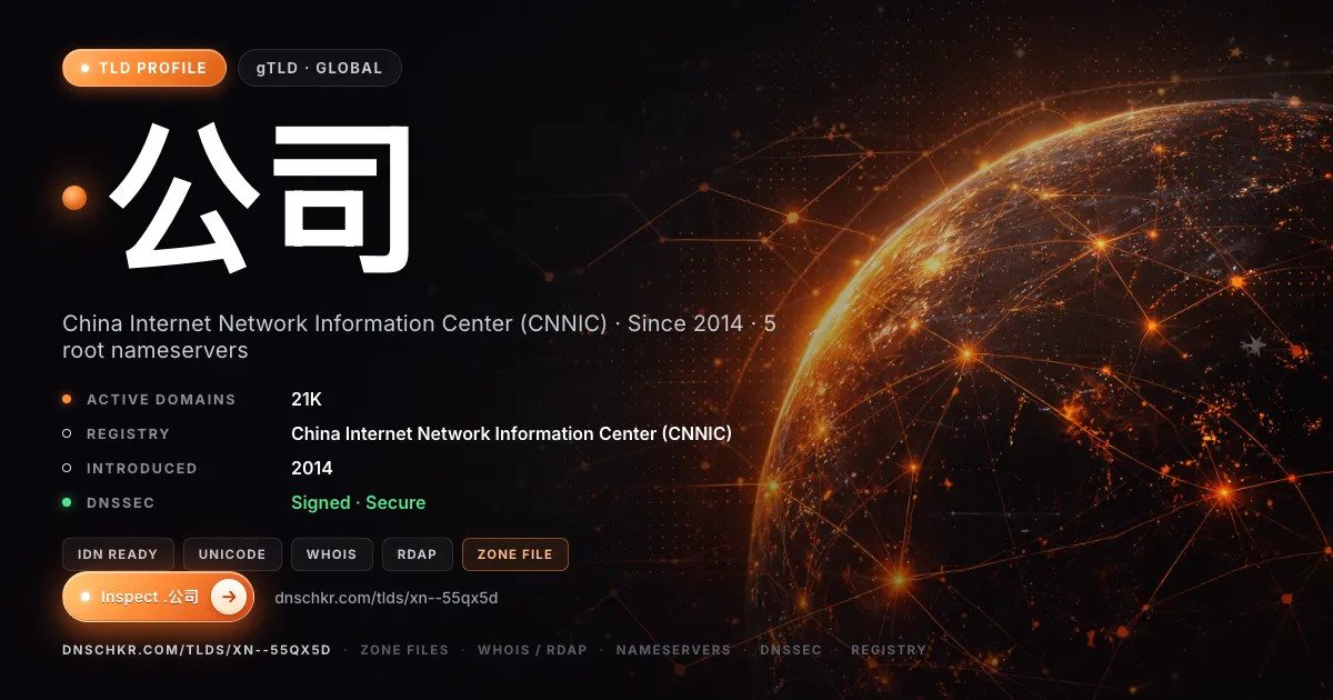 .公司 (.xn--55qx5d) TLD — domains, registry, and DNSSEC overview