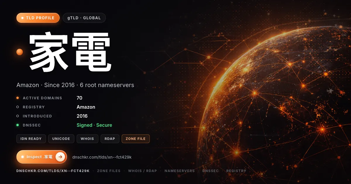 .家電 (.xn--fct429k) TLD — domains, registry, and DNSSEC overview